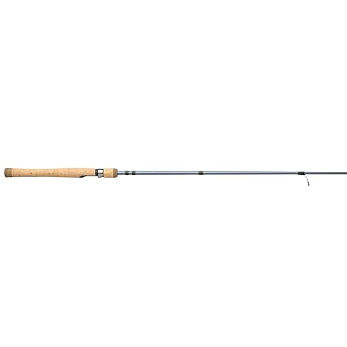 Pflueger President Spinning Fishing Rod