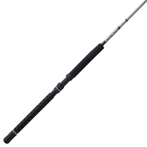 PENNPrevail II Surf Spinning Rod, 10', 2pc, Medium