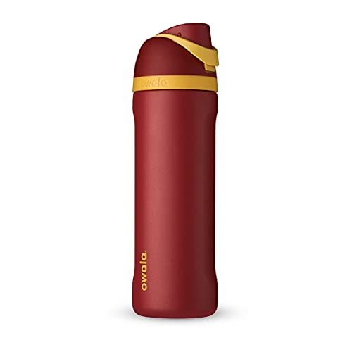 Owala Harry Potter FreeSip Insulated Stainless Steel Water Bottle with Straw, BPA-Free Sports Water Bottle, Great for Trav...