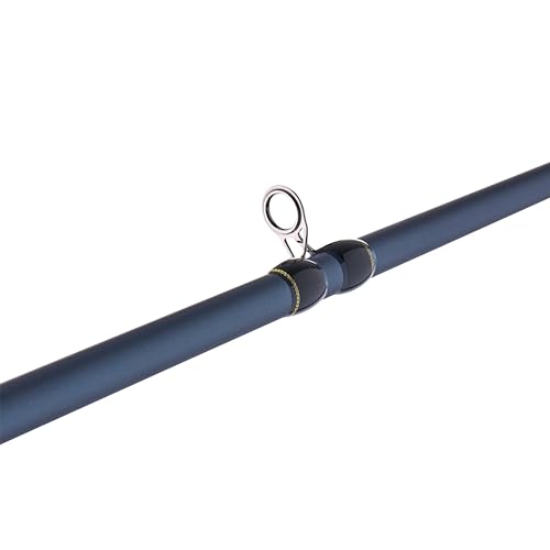 Pflueger President Casting Fishing Rod
