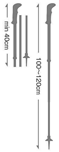 LEKI Cressida FX Carbon Collapsible Lightweight Walking Poles for Trekking & Hiking