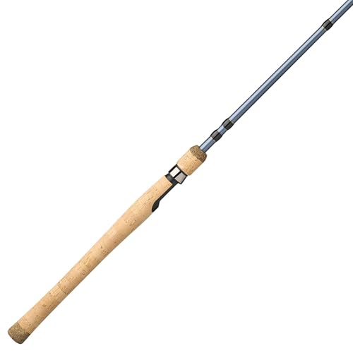 Pflueger President Spinning Fishing Rod