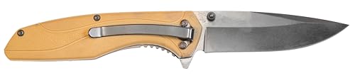 Smith & Wesson SW1103 8.07in Stainless Steel Folding Knife with 3.5in Drop Point Blade and FDE Nylon Handle for Outdoor, T...