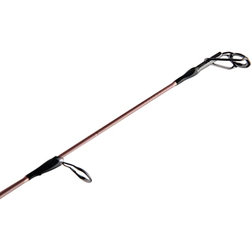 Penn Passion II Spinning Reel and Fishing Rod Combo