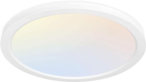 hykolity 12 Inch Selectable CCT LED Round Flat Panel Light, 24W 3000K/4000K/5000K, Edge-Lit Flush Mount Ceiling Light Fixt...