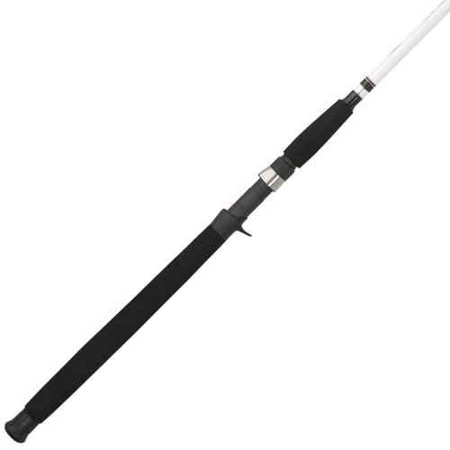 Berkley Big Game Casting Fishing Rod