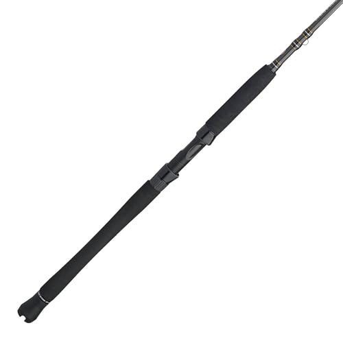 Penn Carnage III Inshore Spinning Fishing Rod