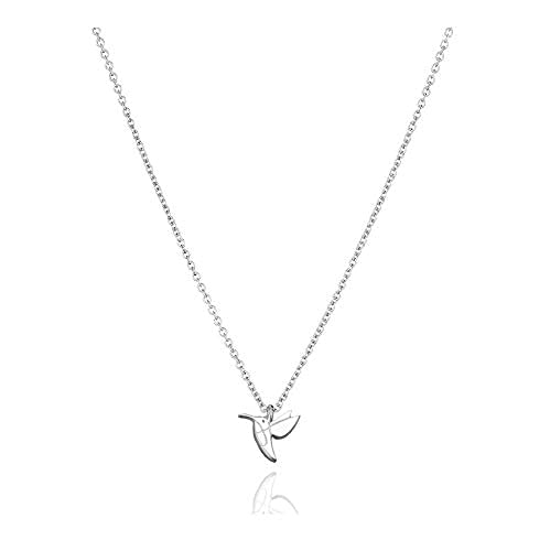 Hundred River Friendship Hummingbird Necklace Hummingbird Pendant Chain Necklace with Message Card Gift Card (hummingbird s)