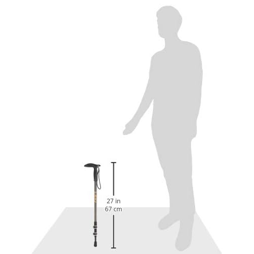 LEKI Wanderfreund Speedlock Trekking Pole