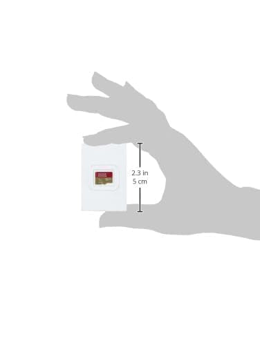 Sandisk 1Tb Extreme Microsd Uhs I Card For 4K Video On Smartphones, Action Cams & Drones 190Mb/S Read, 130Mb/S Write Sdsqxav 1T0
