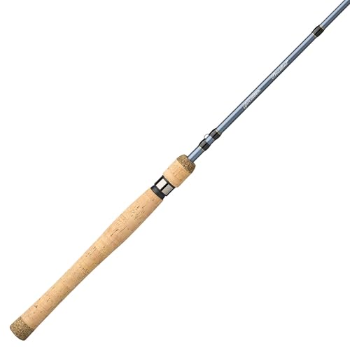 Pflueger President Spinning Fishing Rod