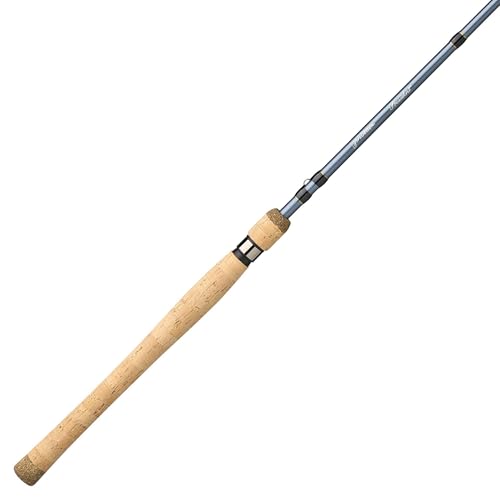 Pflueger President Spinning Fishing Rod