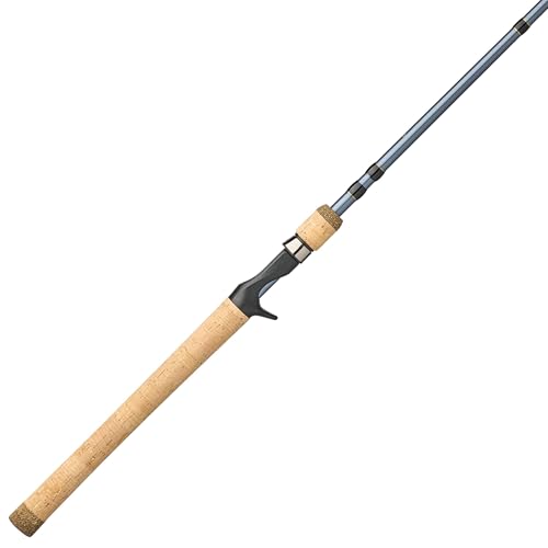 Pflueger President Casting Fishing Rod