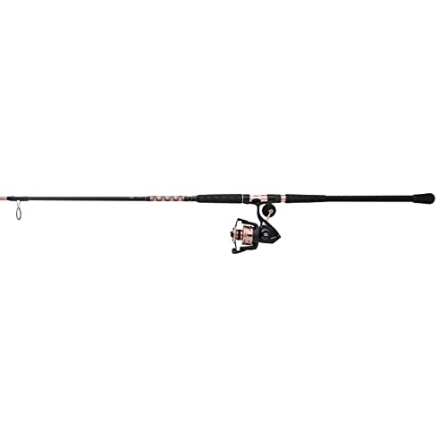 Penn Passion II Spinning Reel and Fishing Rod Combo