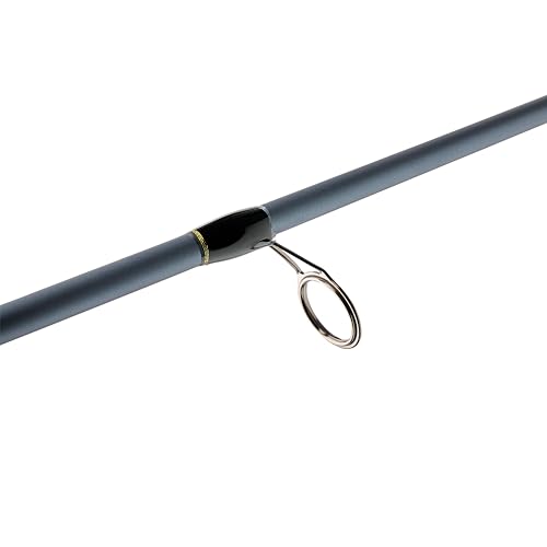 Pflueger President Spinning Fishing Rod