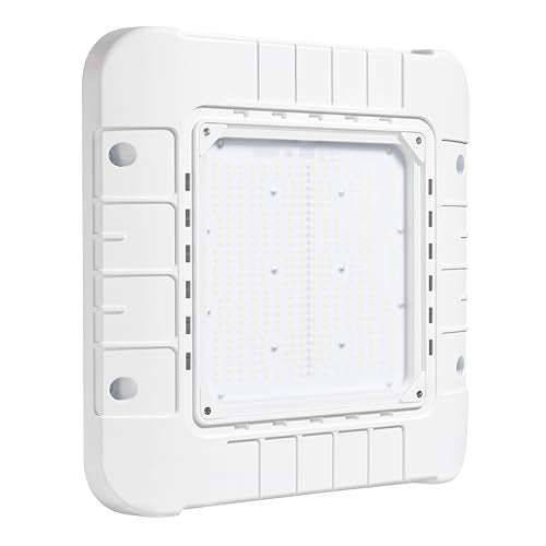Parmida LED Canopy Light, Wattage Selectable (200/250/300W), ETL, 0-10V Dimmable, 100-277VAC, IP65 Waterproof, 5700K, 16....