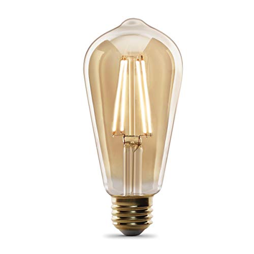 Feit Electric ST19 Vintage Edison LED Light Bulb, 60W Equivalent, Dimmable, 2100K Warm Light, 400 Lumens, Straight Filament Amber Glass Light Bulbs, 15,000-Hour Lifetime, ST19/VG/LED/2/4, 8 Pack