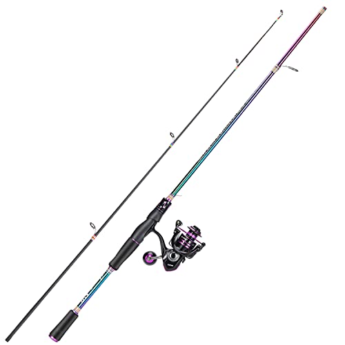 Sougayilang Fishing Rod and Reel Combo, Medium Fishing Pole with Baitcasting Reel Combo, 2-Piece Fishing Combo
