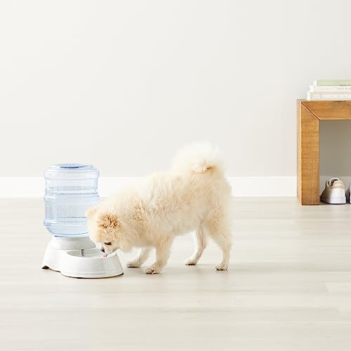 Amazon Basics Gravity Pet Water Dispenser for Cat, Dog, 1 gallon Capacity, Small, Gray