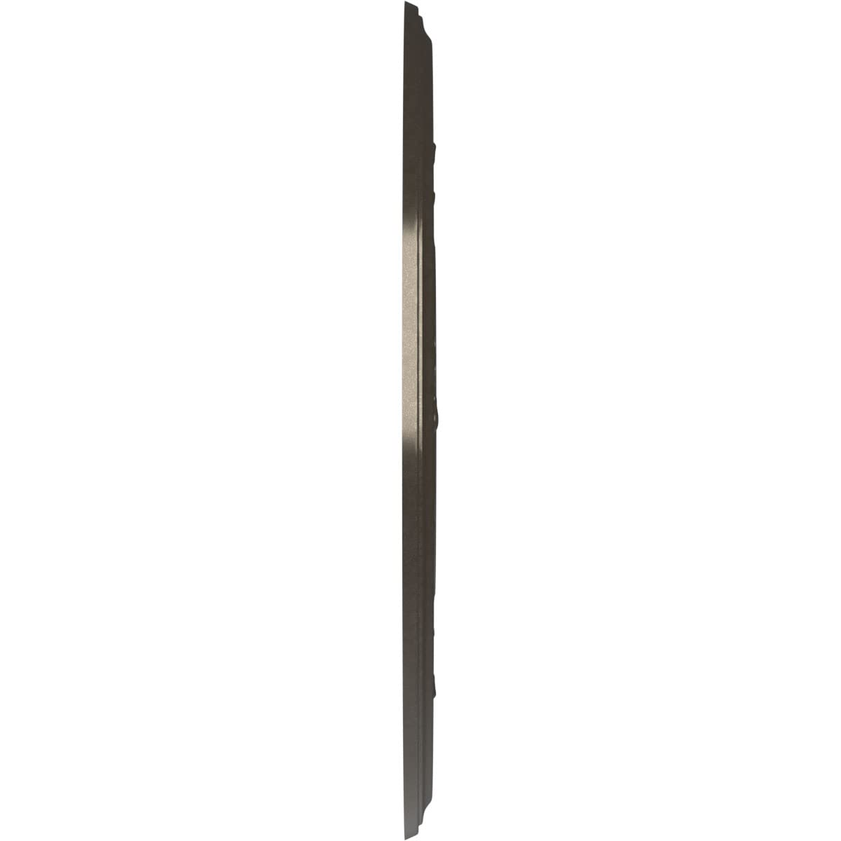 Ekena Millwork Cmp19Bacch Baltimore Thermoformed Pvc Ceiling Medallion (Fits Canopies Up To 7 3/4), 19Od X 3 1/2Id X 1P, Metalli
