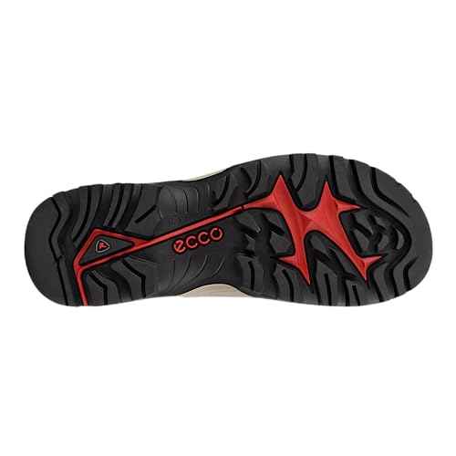 ECCO Men's Offroad Explorer Two Strap Hiking Shoe
