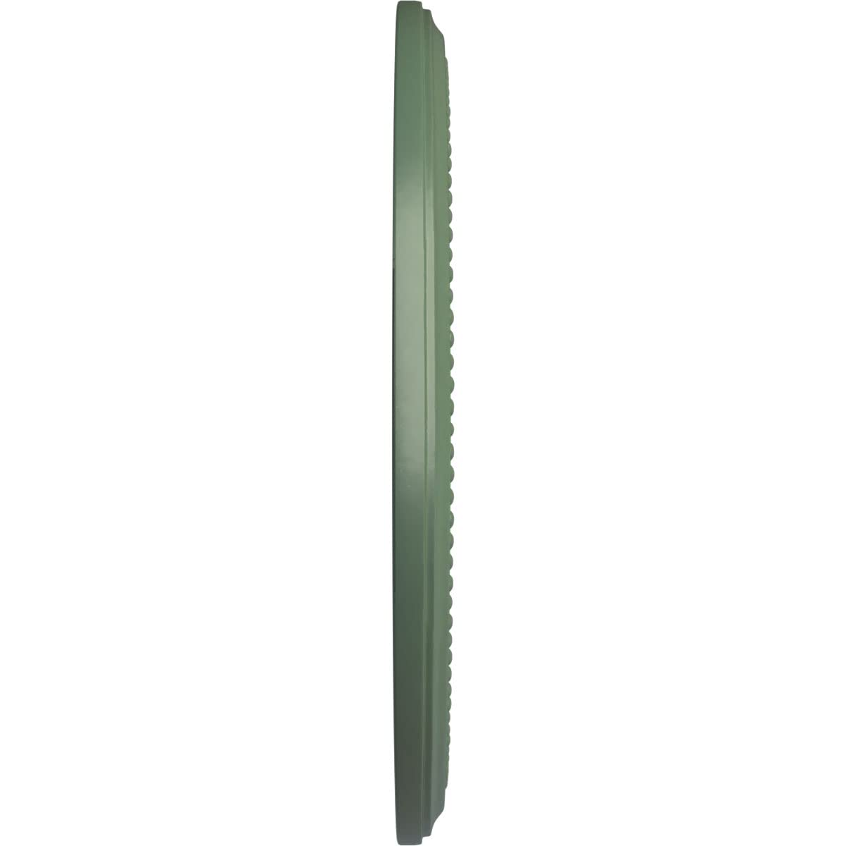 Ekena Millwork Cm18Diagf Diane Ceiling Medallion, 18Od X 3 5/8Id X 1 1/8P (Fits Canopies Up To 5 3/8), Hand-Painted Athenian Gre