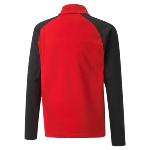 PUMA Mens Teamliga 1/4 Zip Top