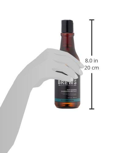 Redken Shampoo For Men, With Menthol For Soothing Application, Cools and Sooths Scalp, Deeply Cleanses Hair, Energizing Mint Sce