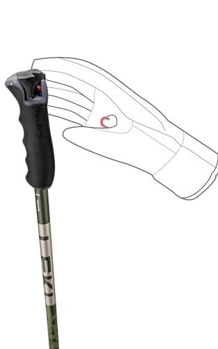 LEKI Detect S Lightweight Aluminum Ski Poles for Downhill Skiing