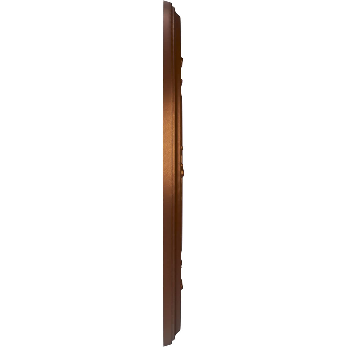 Ekena Millwork Cmp10Bacdc Baltimore Thermoformed Pvc Ceiling Medallion (Fits Canopies Up To 4 1/4), 10Od X 3 1/2Id X 3/4P, Metal