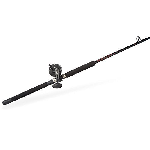 Penn Warfare II Level Wind Conventional Reel and Fishing Rod Combo