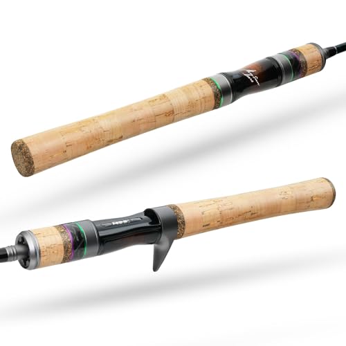 HANDING Magic L Trout Fishing Rod Ultralight Fishing Rod 2-Piece Spinning & Casting Rod with Fuji Guide Rings Graphite Ree...