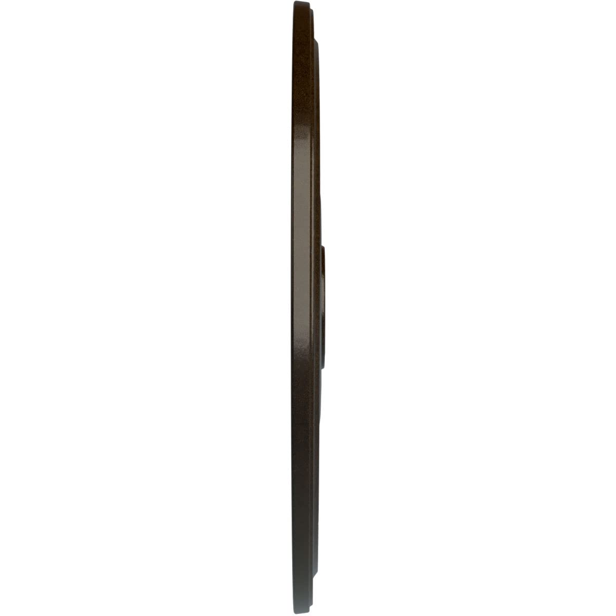 Ekena Millwork Cm24Dibzs Diane Ceiling Medallion, 24Od X 3 5/8Id X 1 1/4P (Fits Canopies Up To 6 1/4), Hand-Painted Bronze