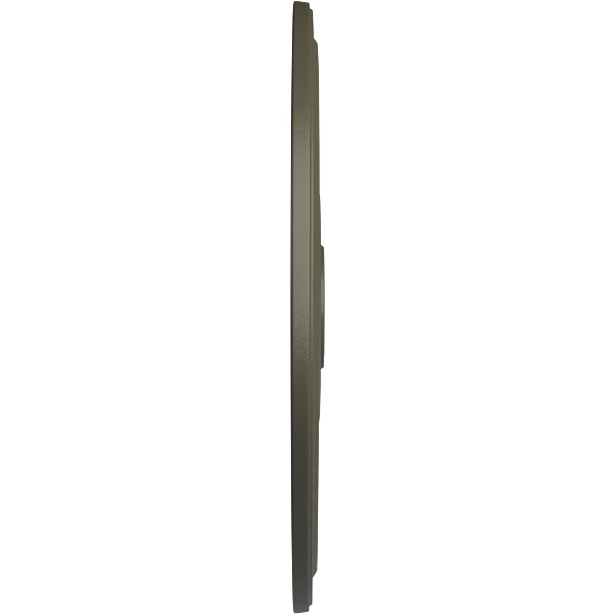 Ekena Millwork Cm24Diwhf Diane Ceiling Medallion, 24Od X 3 5/8Id X 1 1/4P (Fits Canopies Up To 6 1/4), Hand-Painted Witch Hazel