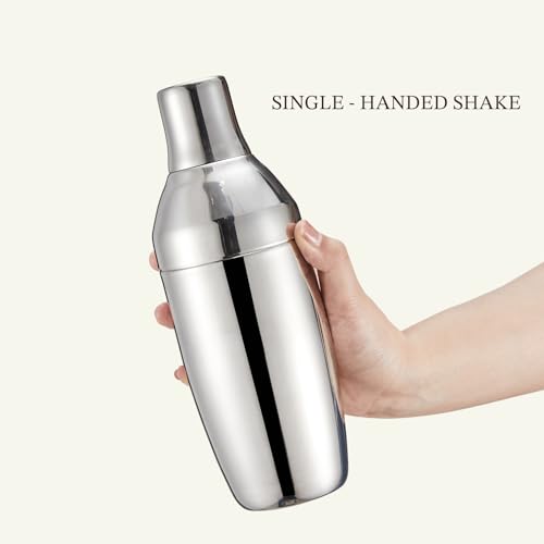 KITESSENSU Cocktail Shaker Set with Carry Case: Vacuum Insulated Martini Shaker with Built-in Strainer, 2 Martini Glasses,...