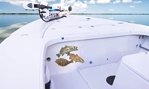 Saltwater Fish Decals Inshore Slam Flounder Fluke Fishing Stickers Redfish Red Drum Seatrout UV Protected Sea Trout Fish S...