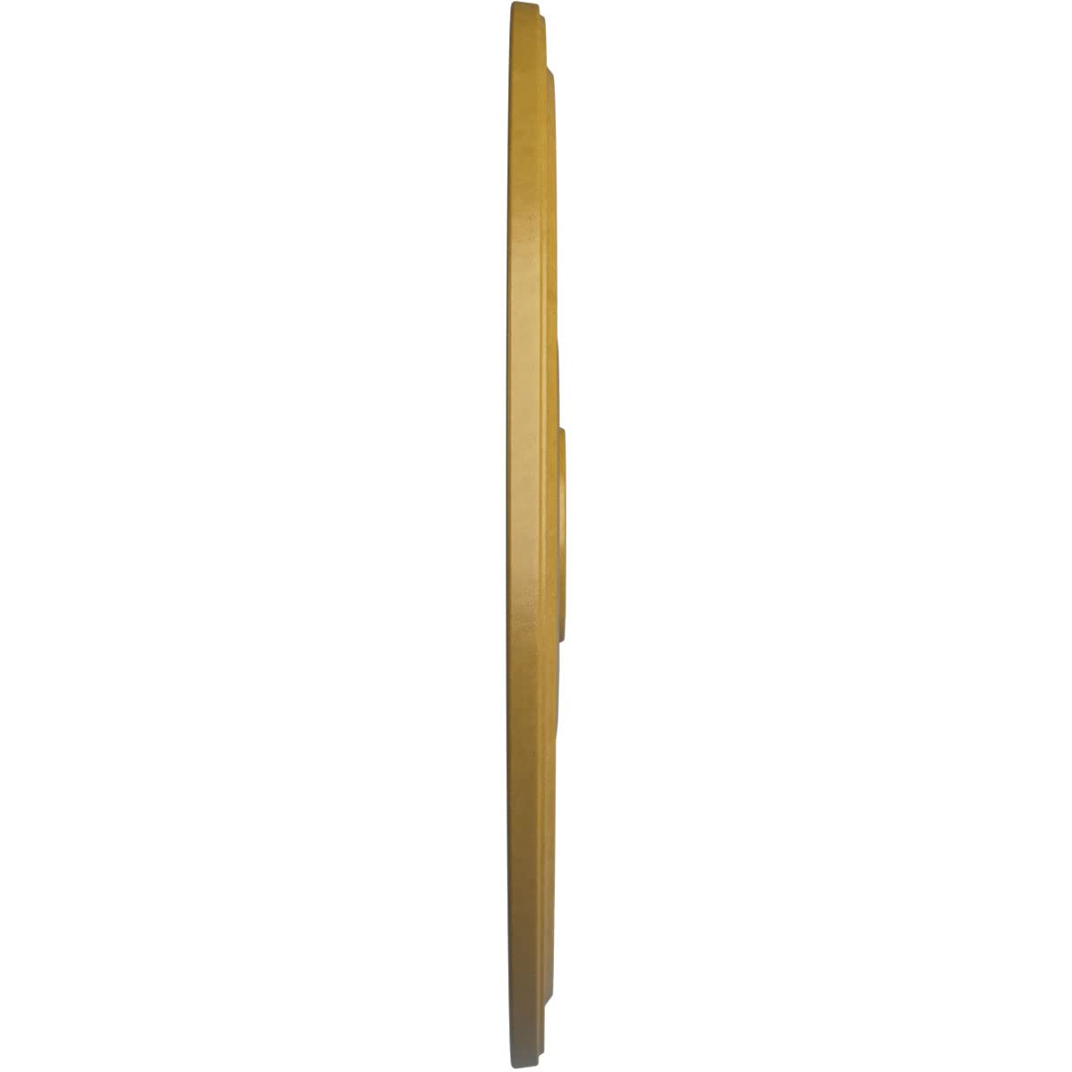 Ekena Millwork Cm24Diigs Diane Ceiling Medallion, 24Od X 3 5/8Id X 1 1/4P (Fits Canopies Up To 6 1/4), Hand-Painted Iridescent G