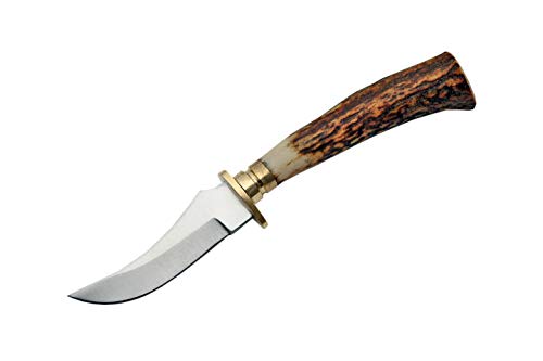 SZCO Supplies Mini Stag Hunting Knife - 5.25 Inch Stainless Steel Blade with Stag Handle, Brass Guard, and Leather Sheath...