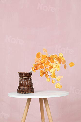 Kate 6ftX9ft Solid Light Pink Backdrop Portrait Photography Background for Photography Studio Children and Headshots Light...