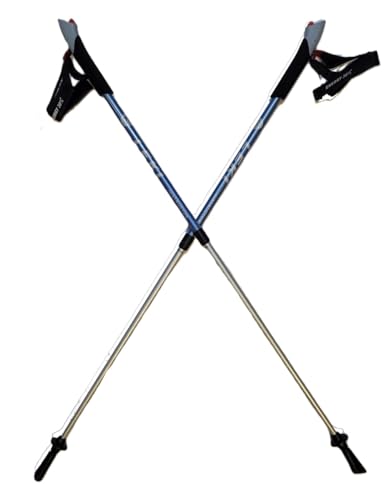 LEKI Nordic Walking Instructor (Lt Blue) Trekking Pole