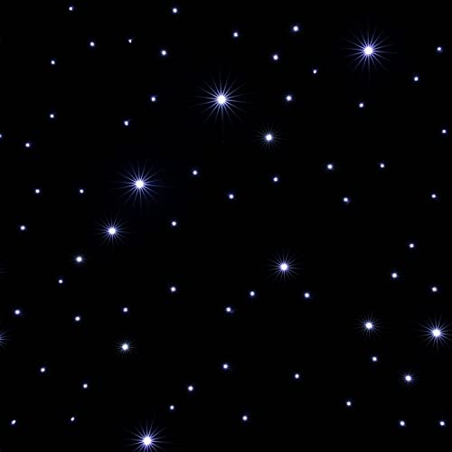 LIANDU-US LED Curtain Light 20ft x 10ft White LED Star Backdrop Stage Drape Starry Sky Cloth Curtain DMX512 for Wedding Ev...