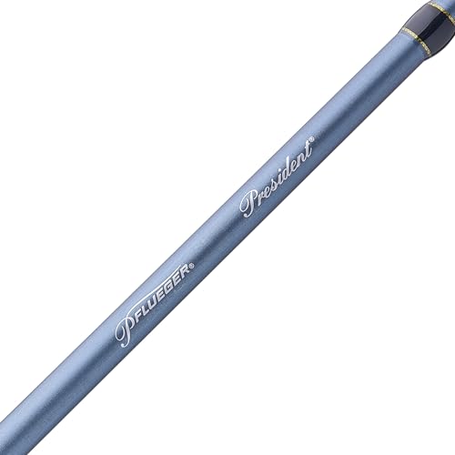 Pflueger President Casting Fishing Rod