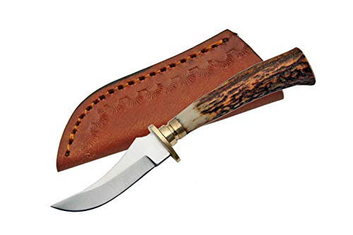 SZCO Supplies Mini Stag Hunting Knife - 5.25 Inch Stainless Steel Blade with Stag Handle, Brass Guard, and Leather Sheath...