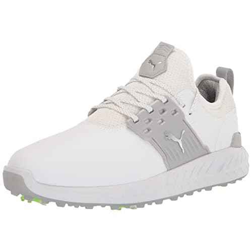 PUMA Ignite Articulate Puma White/Puma Silver/High-Rise 7 D (M)