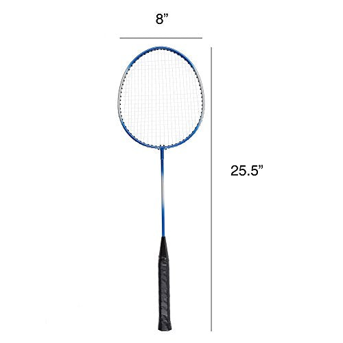 Hey! Play!Badminton
