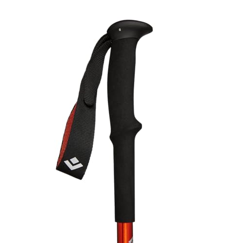 Black Diamond Equipment - Trail Back Trek Poles