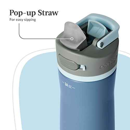 Contigo Wells Chill Stainless Steel Water Bottle with AUTOSPOUT Straw Lid 24oz w/filter Dark Ice