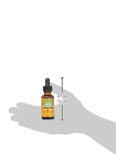 Herb Pharm Certified Organic Lobelia Liquid Extract for Musculoskeletal System Support - 1 Ounce (DLOBEL01)