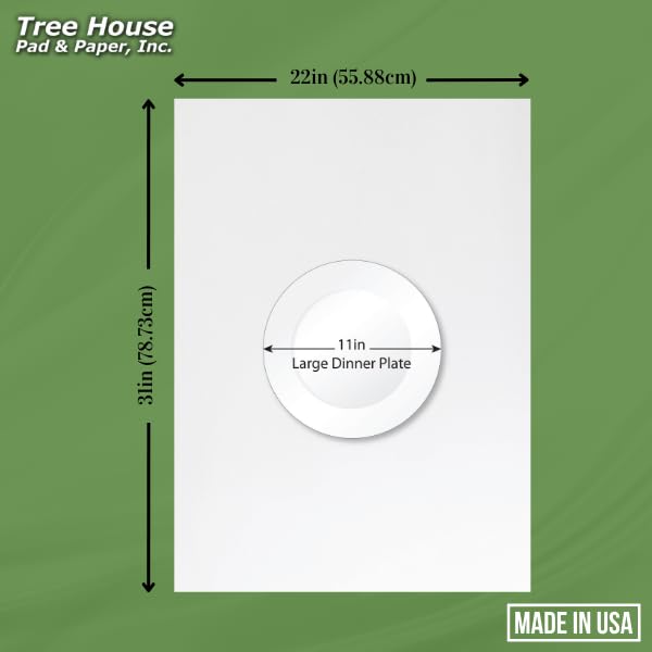 Tree House Packing Paper for Moving – 240 LARGE Newsprint Packing Paper Sheets – 31” x 22” Paper for Packing Dishes, Shipping, and Moving Supplies – Recyclable Movers’ Paper – Made in USA