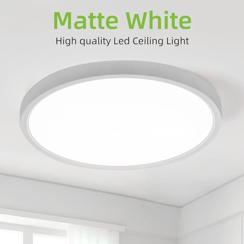 hykolity 12 Inch Selectable CCT LED Round Flat Panel Light, 24W 3000K/4000K/5000K, Edge-Lit Flush Mount Ceiling Light Fixt...